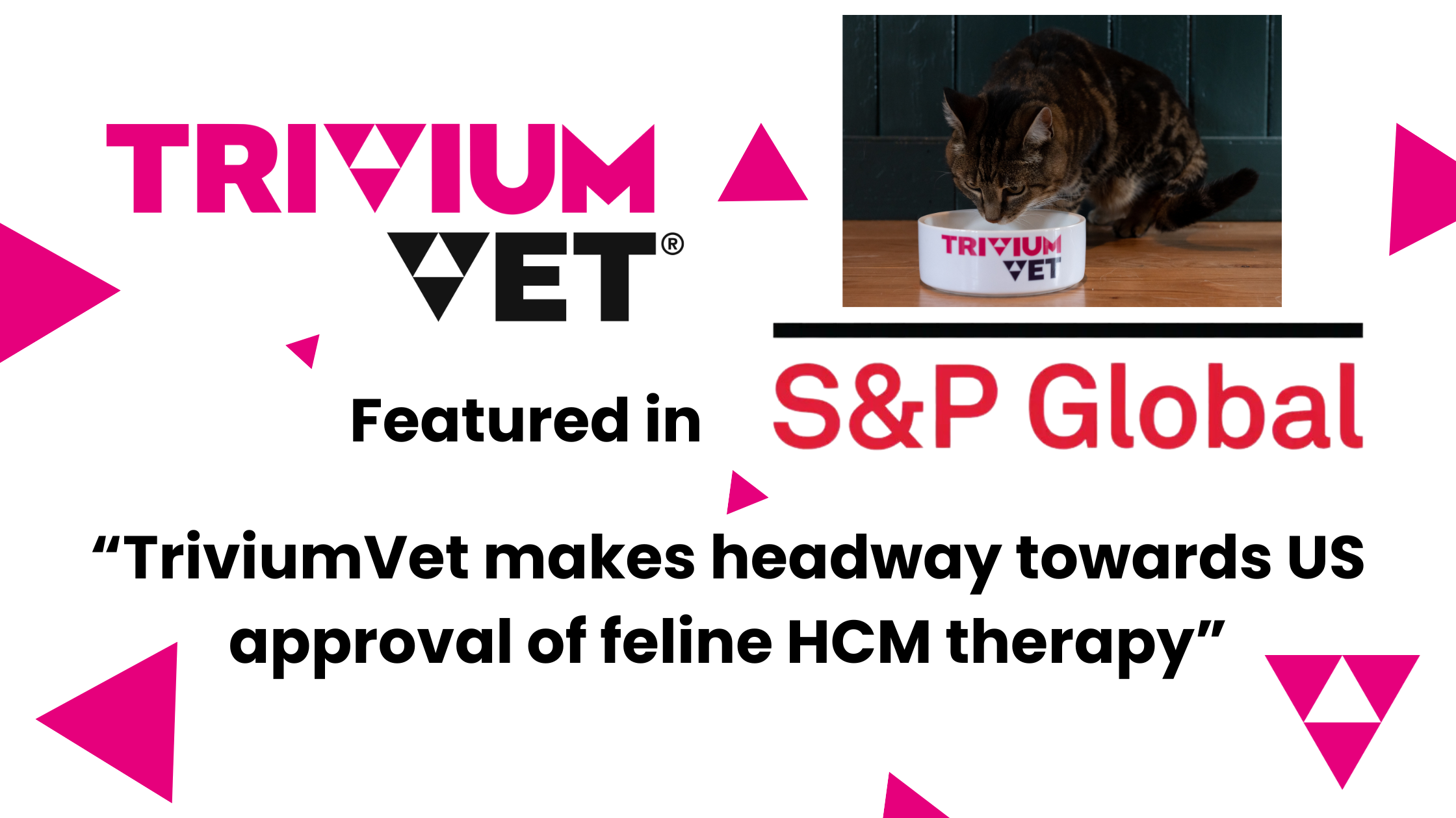 TriviumVet makes headway towards US approval of feline HCM therapy - S&P Global feature