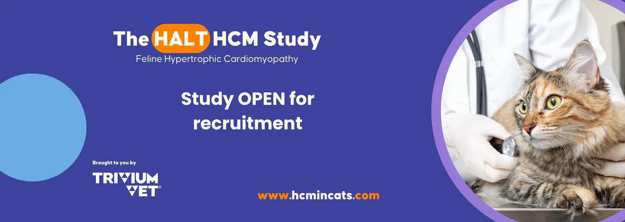 TriviumVet launch the HALT HCM Study recruiting 300 cats with diagnosed ...